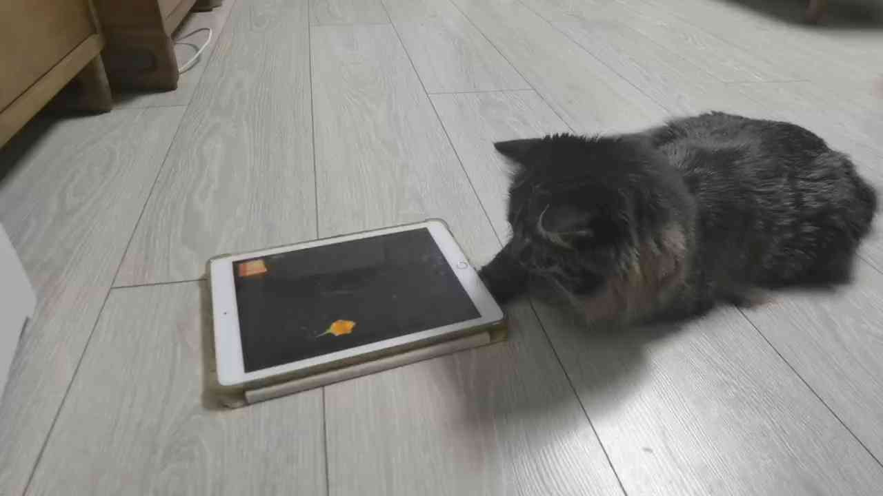 列表图